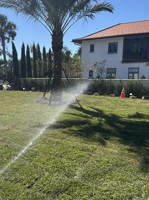 landscaping residential neptune beach